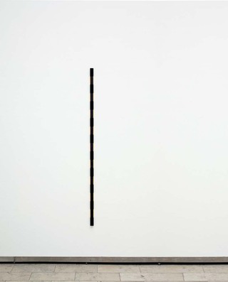 Schranke, 2009

Stahl, Lack, Ölfarbe

190 x 4 x 2 cm